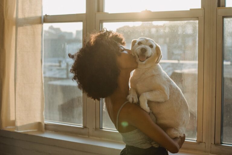 Building a Strong Trainer-Dog Bond