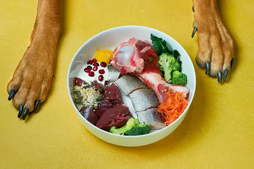raw dog diet