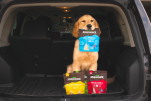 Adirondack Dog Food