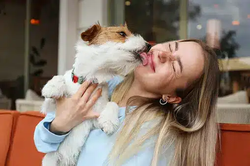 Calculating the Annual Cost of Dog Ownership