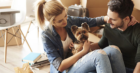 puppy training for new puppy parents